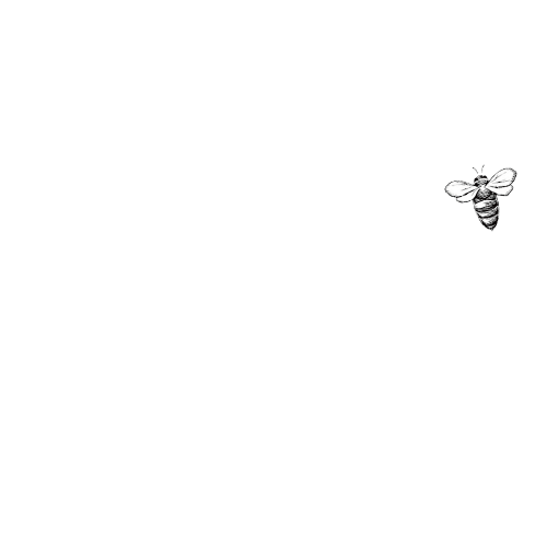 BEES-KNEES / メインロゴ